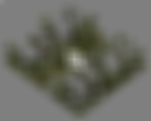 fp